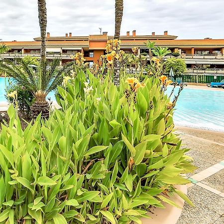 Appartement Piscinas Del Teide à Puerto de la Cruz  Extérieur photo