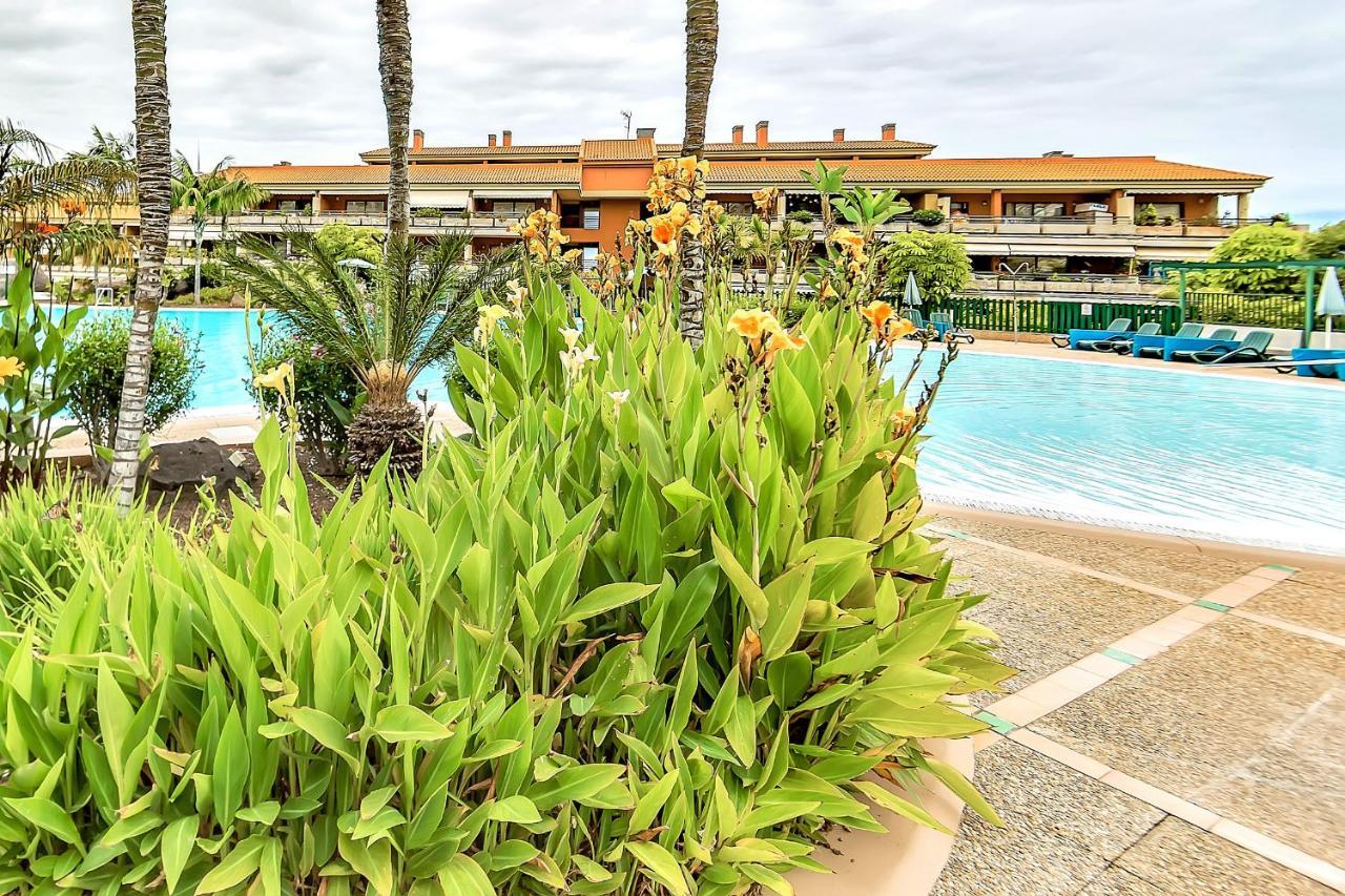 Appartement Piscinas Del Teide à Puerto de la Cruz  Extérieur photo